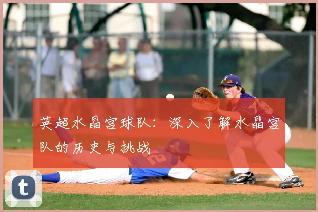 英超水晶宫球队：深入了解水晶宫队的历史与挑战