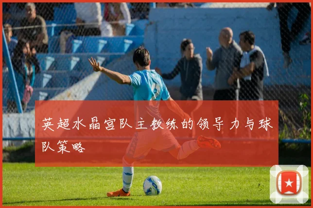 英超水晶宫队主教练的领导力与球队策略