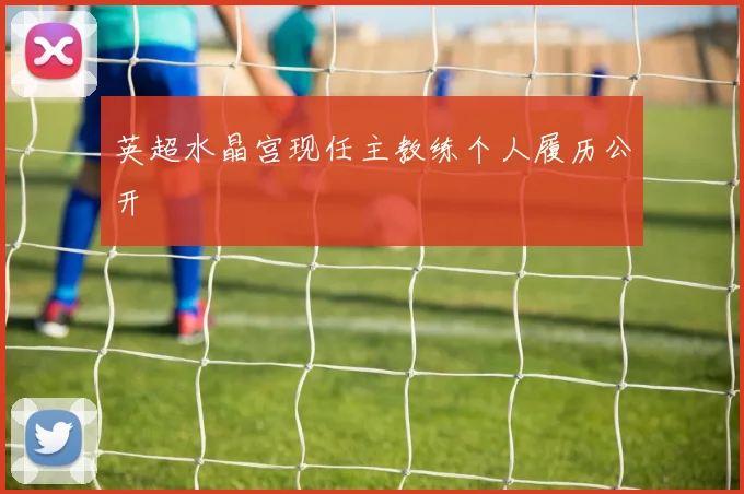 英超水晶宫现任主教练个人履历公开