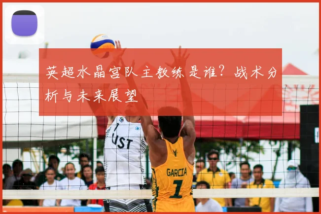 英超水晶宫队主教练是谁？战术分析与未来展望